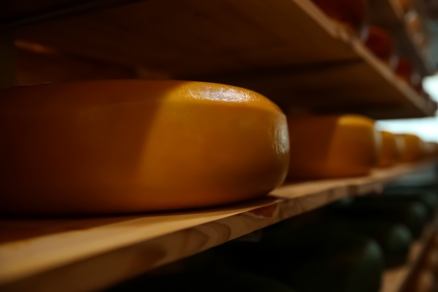 Comment est fabriqué le fromage fumé ? Comment est fabriqué le fromage fumé ?