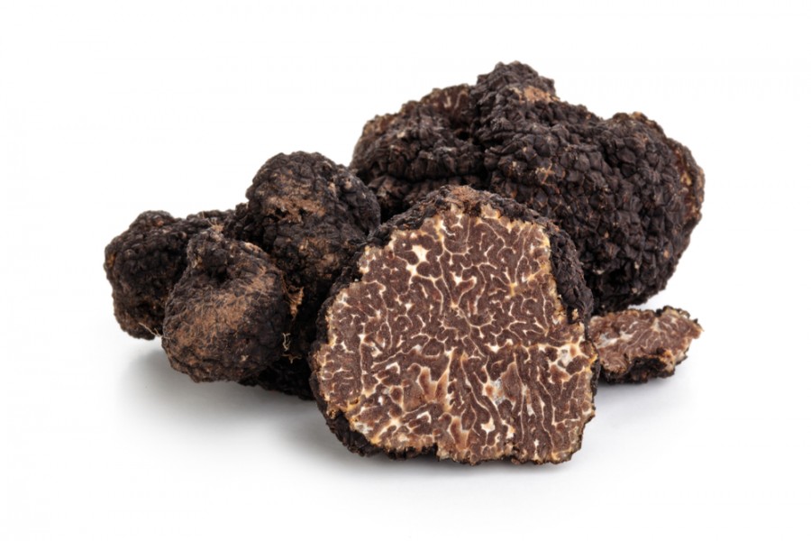 Découvrir la crème de truffe : Un délice gastronomique